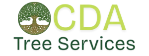 CDA Tree Services - Expert Tree Care in Coeur d'Alene