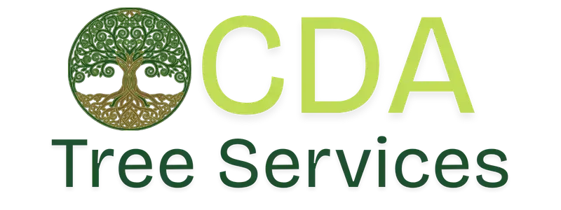 CDA Tree Services - Expert Tree Care in Coeur d'Alene