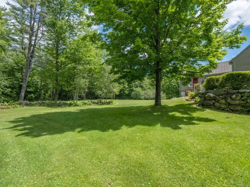 Clean yard restored lawn after tree removal residential near Sanders Beach Coeur d'Alene