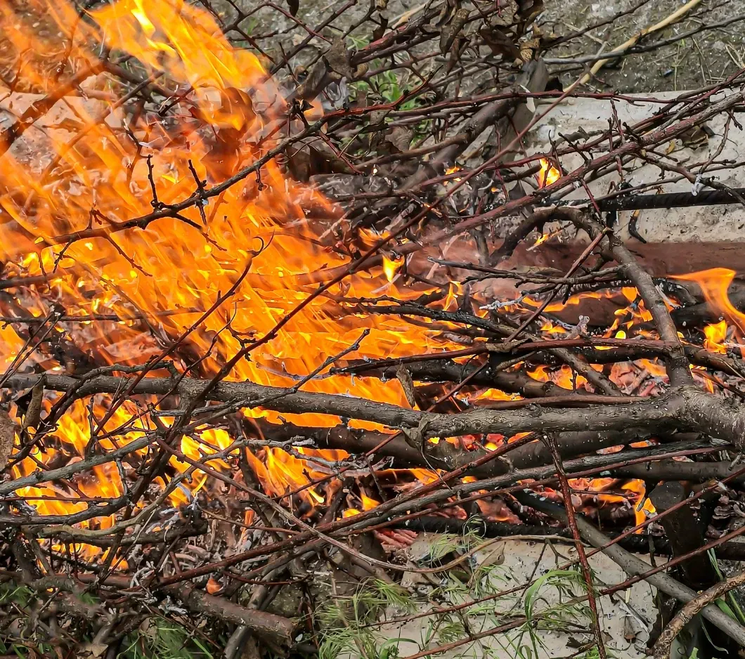 Defensible space clearing crew trimming branches near Rathdrum Prairie Idaho