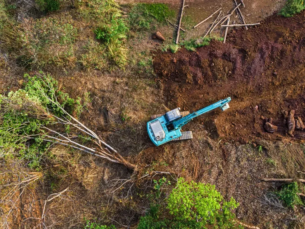 Land clearing wooded lot with equipment near Fernan Lake Coeur d'Alene