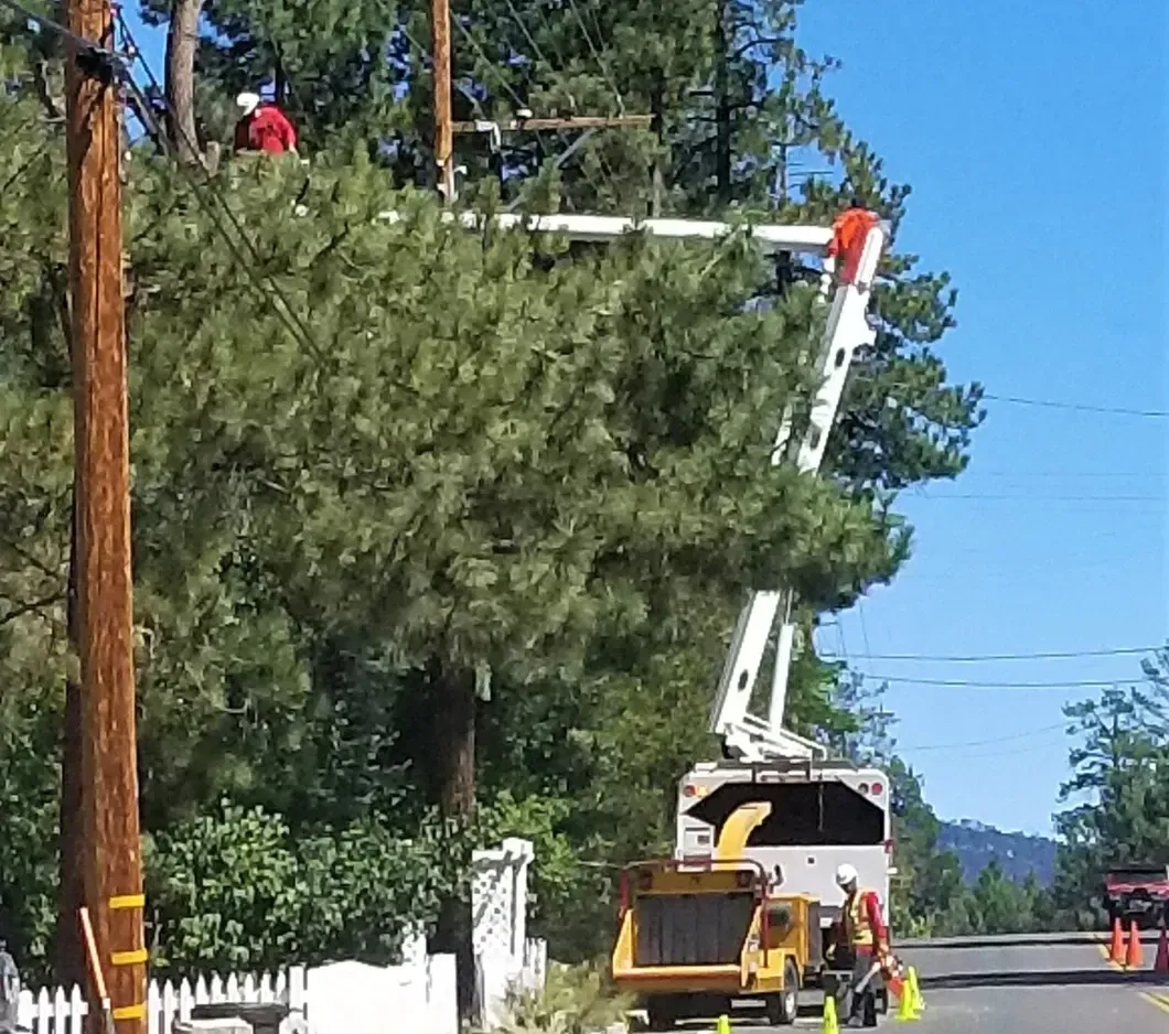 Storm prep tree trimming heavy branches power line near Hayden Lake Idaho