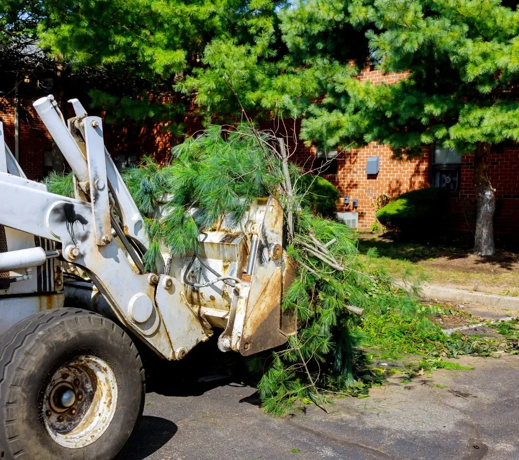 Tree trimming debris cleanup raking yard near Post Falls Coeur d'Alene area