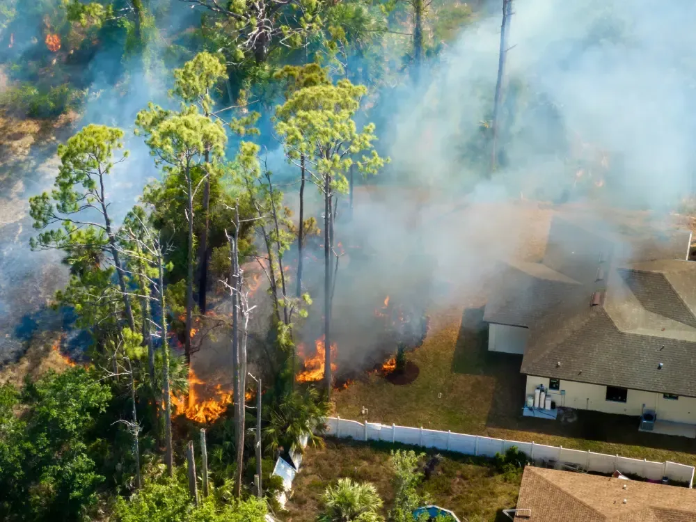 Defensible space wildfire home forest near North Idaho corridor Coeur d'Alene