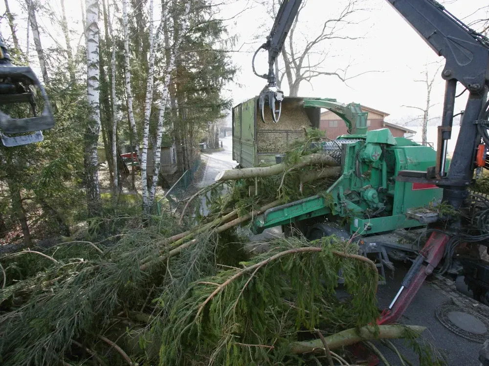 Wood chipper crew branches debris tree removal processing near Riverstone Coeur d'Alene