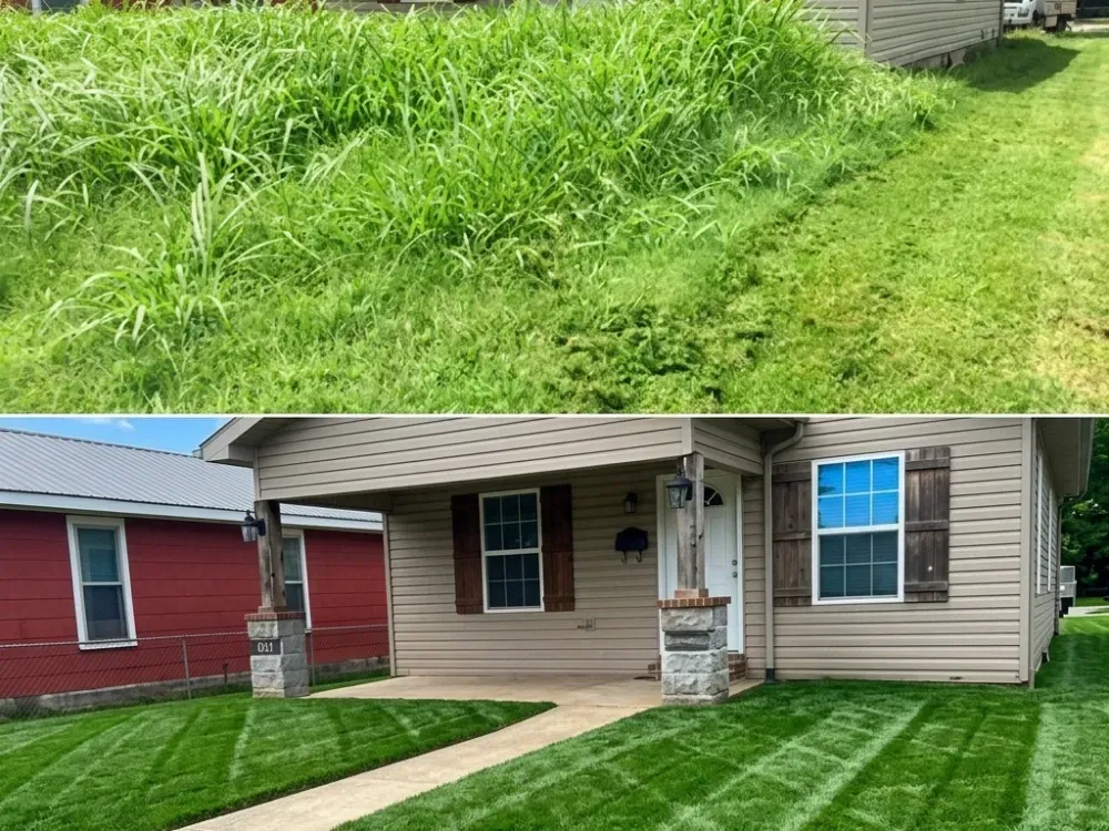 Before after residential yard overgrown to clean maintained safe perimeter near Fernan Lake CDA